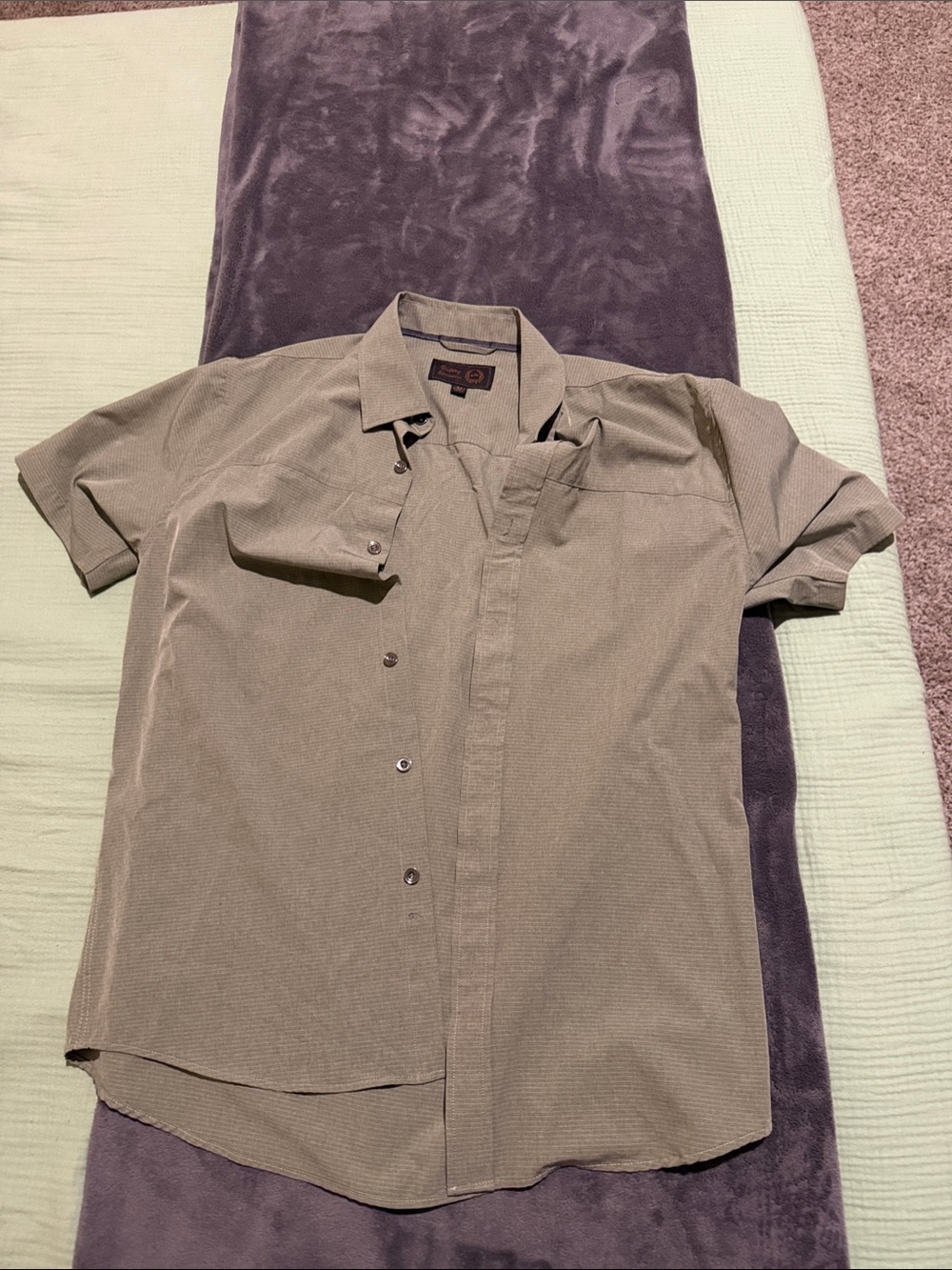 Men's Short-Sleeve Button-Down Shirt in Light Green